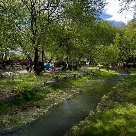 Camping Y Hostal El Ovejero Эль-Калафате Экстерьер фото