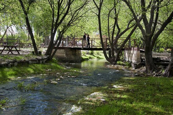 Camping Y Hostal El Ovejero Эль-Калафате Экстерьер фото