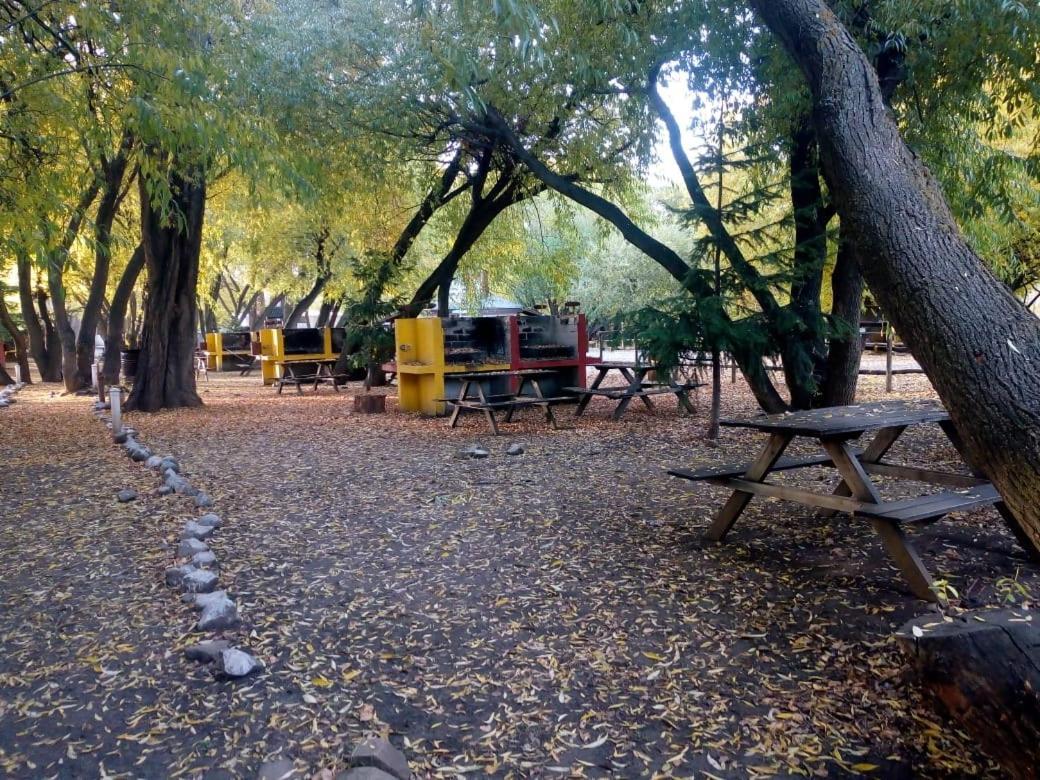 Camping Y Hostal El Ovejero Эль-Калафате Экстерьер фото